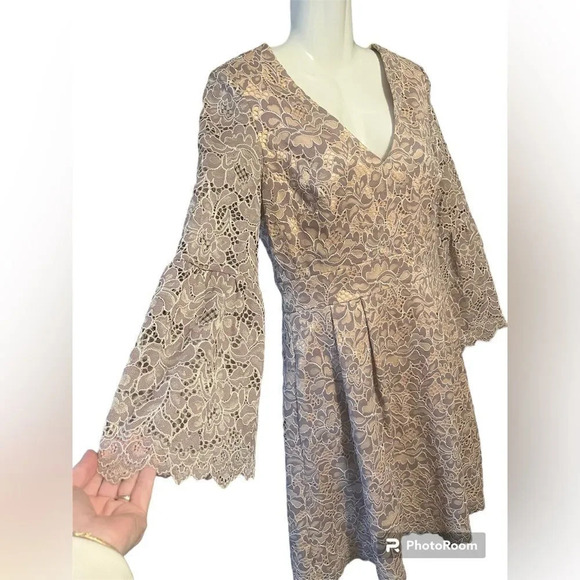 Eliza J Fit & Flare Lace Dress Sz 6 - Picture 3 of 12